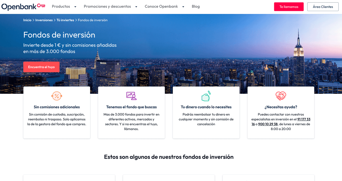 Openbank platform interface