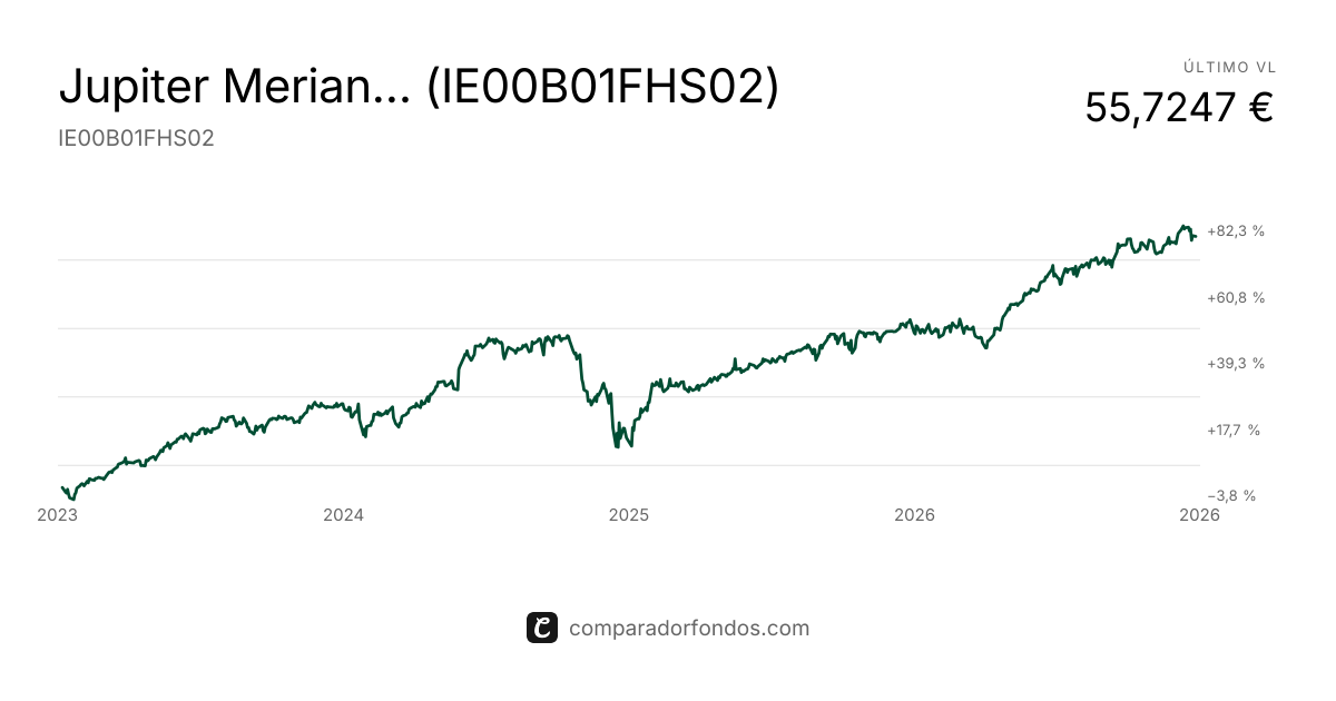 Jupiter Merian NA Eq (IRL) L EUR Acc (IE00B01FHS02) | Fondo